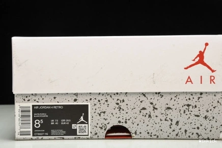 CT8527-120 4 JORDAN - SB RETRO 1001